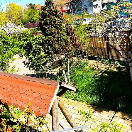 Egreta * Észak-Eforie